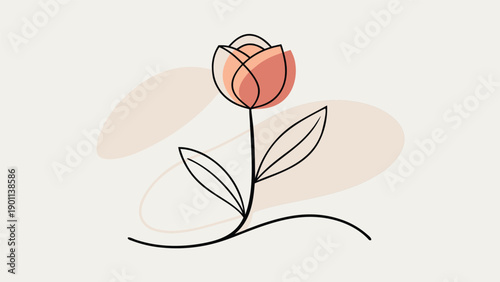 Minimalist Tulip Flowers Continuous Line Art Botanical Drawing
