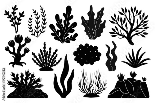 Black seaweed and algae silhouette set, underwater plants and marine vegetation