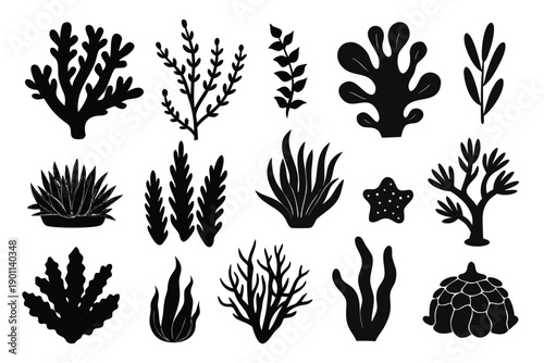 Black seaweed and algae silhouette set, underwater plants and marine vegetation