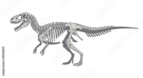 A detailed anatomical illustration of a dinosaur skeleton, showcasing its skeletal structure and proportions.
