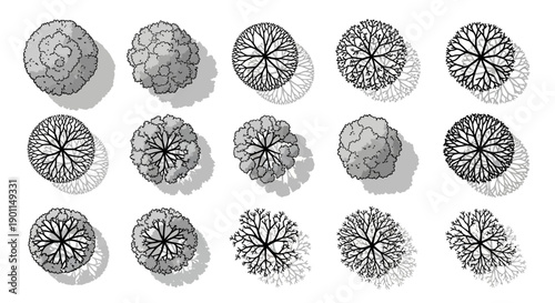 A collection of detailed black and white illustrations of various trees as seen from a top-down perspective, showcasing different foliage and branch structures.