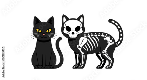 A black cat and a skeleton cat illustration for Halloween.