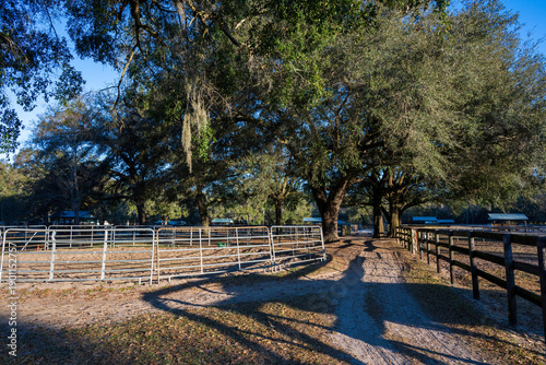 A horse round pen in an Ocola ranch