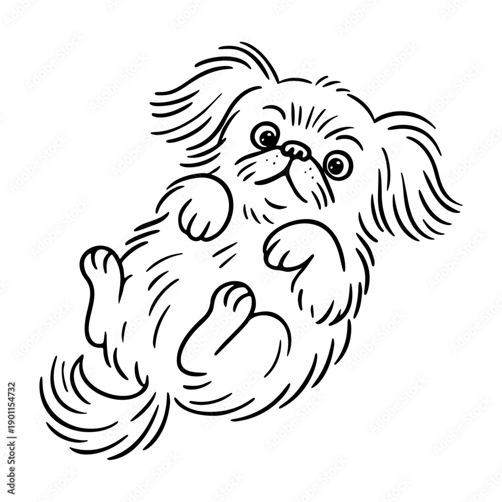 Obraz premium Cute fluffy puppy lying on its back with paws up. Doodle black and white line art. Ideal for coloring pages, stickers, and pet related stationery. pekingese. Vector illustration