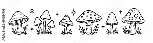Whimsical featuring various forest mushrooms, stars, and grass set. Black and white line art doodle collection. perfect for coloring pages, nature themed stickers, autumn designs. Vector illustration