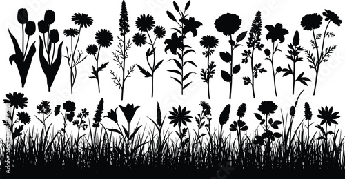 Black flower silhouette collection featuring various garden blooms like tulips and lilies with grass border isolated on white background vector,