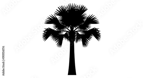 Palm Tree Silhouette Isolated on White Background
