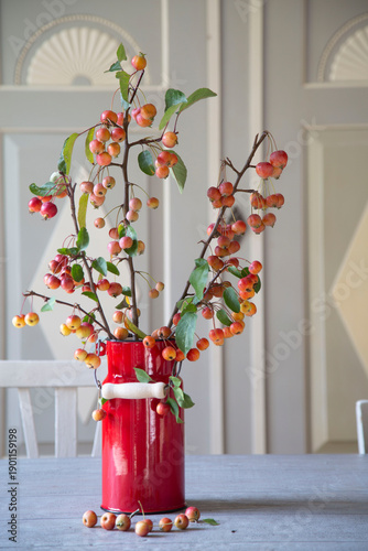 Zweig mit roten Zieräpfeln (Malus) in einer roten Vase aus Emaille vor einem grau-weißen Schrank.