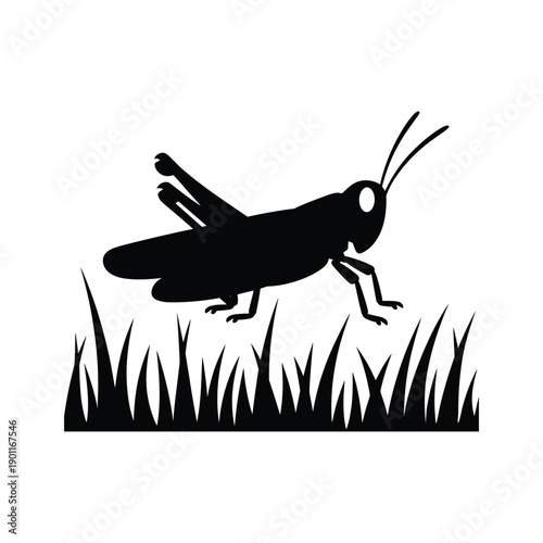 Black silhouette of a grasshopper jumping over grass insect white background