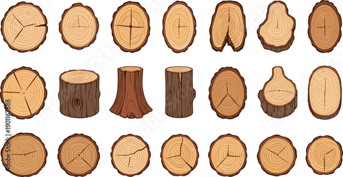 Wood Log And Tree Stump Cross Section Collection With Annual Rings And Bark Textures In Cartoon Vector Illustration