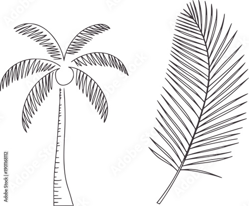 Minimalist black and of palm tree and frond leaf