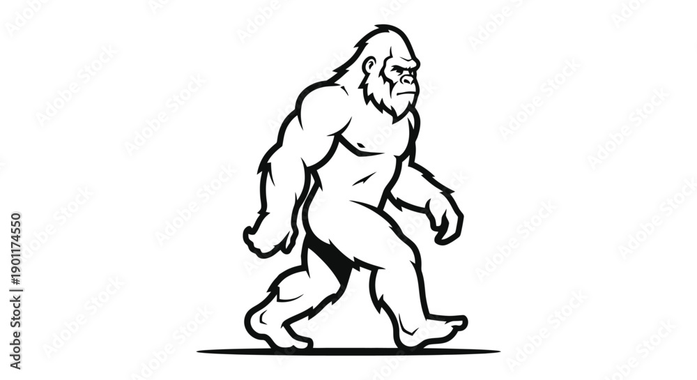 Fototapeta premium A black and white illustration of a muscular Bigfoot or Sasquatch walking with its left leg forward.