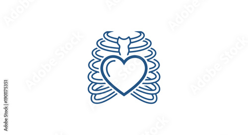 Heart Inside Ribcage Medical Illustration.