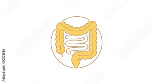 Human intestine organ illustration.