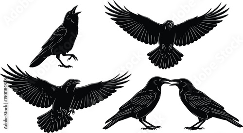 Black Raven and Crow Silhouette Vector Illustration Set Featuring Flying Birds, Croaking Corvid Graphics, Gothic Nature Elements, and Detailed Dark Wing Span Icons