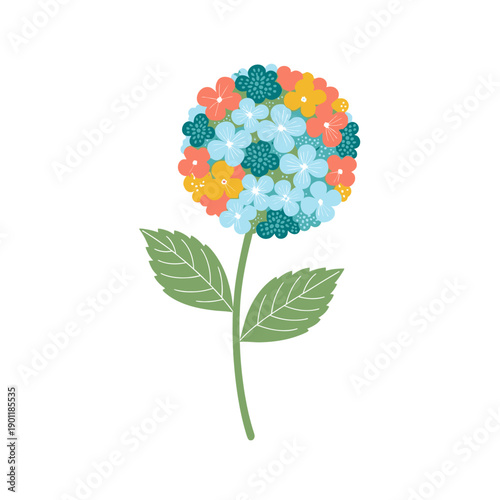 Colorful Hydrangea Flower Illustration with Bright Blooms and Green Leaves