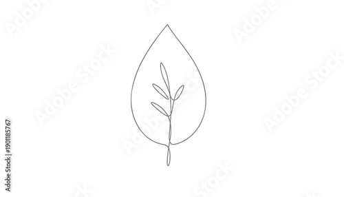 Minimalist vector leaf icon, simple line drawing, for logo or symbol, Isolated on transparent background, png