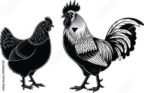 Vintage Black and White Hand Drawn Vector Illustration of a Hen and Rooster Standing Together for Farmhouse Decor Poultry Farming and Organic Food Branding