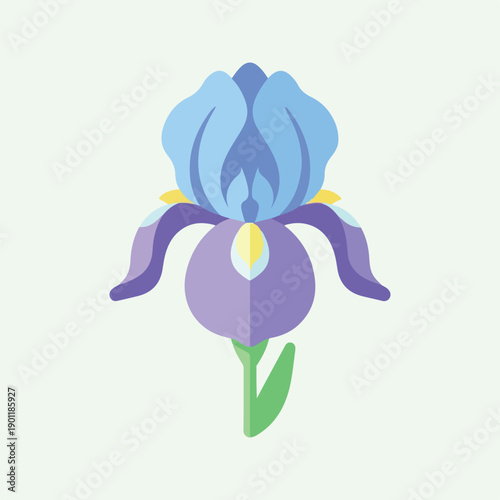 Blue Purple Iris Flower Illustration.