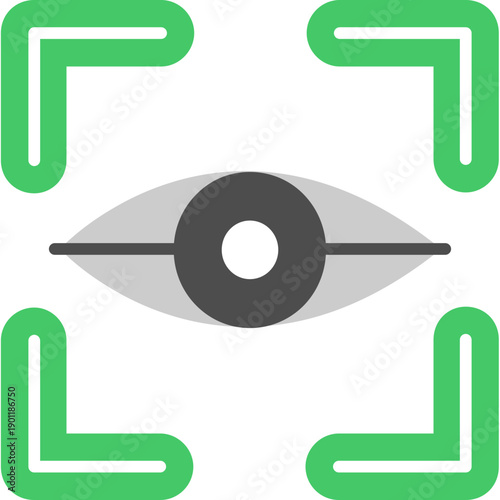 Eye within scanning frame Icon