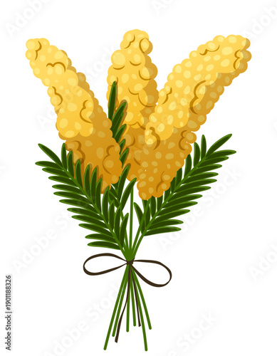 Yellow Mimosa Flower Bouquet Tied with String, International Women’s Day Symbol, Spring Floral Vector Illustration Isolated