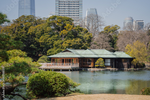 Фотография Chuo, Tokyo: 03 - 28 -2025: Tea horse in Hamarikyu Garden and modern skyscrapers