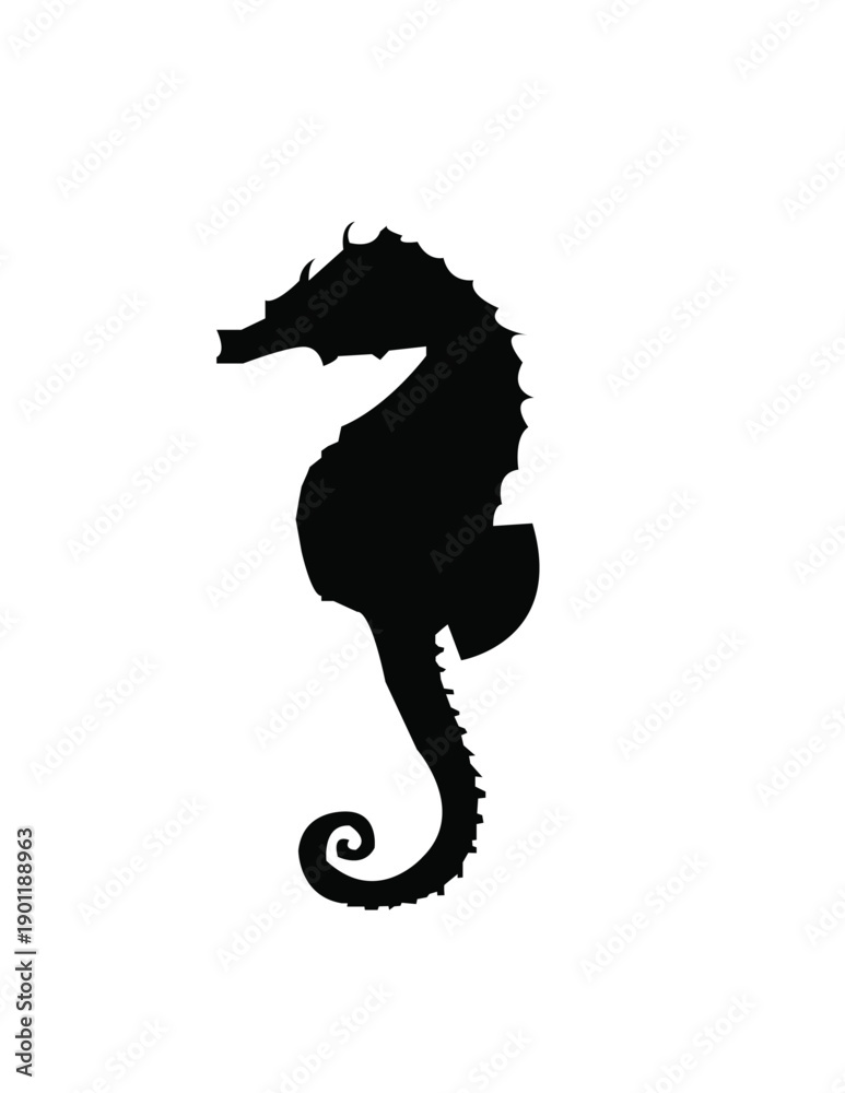 Fototapeta premium seahorse