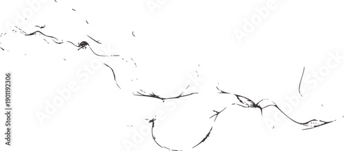 Minimalist black and abstract squiggly line with insect figure lines