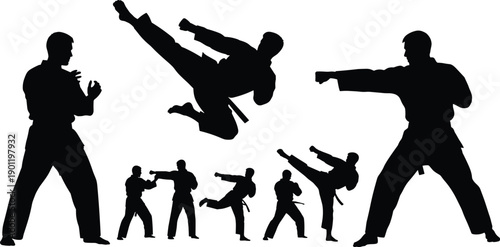 martial arts, karate, taekwondo, fighter, silhouette, kick, punch, combat, training, self defense, discipline, strength, action, sport, fitness, athlete, fight, technique, motion, power