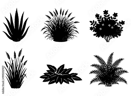 Six distinct silhouettes of popular indoor and outdoor houseplants arranged in two rows of three