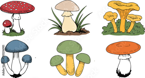 Colorful Mushroom Sketch Vector Illustration Set