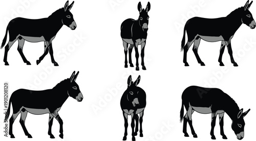 Set of donkey silhouette illustrations in standing and grazing poses, farm animal collection for agriculture, rural life, and nature design