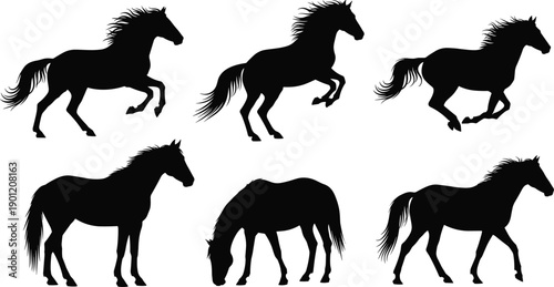 Set of horse silhouette illustrations in running, standing, and grazing poses, wild animal collection for logo, tattoo, and design use