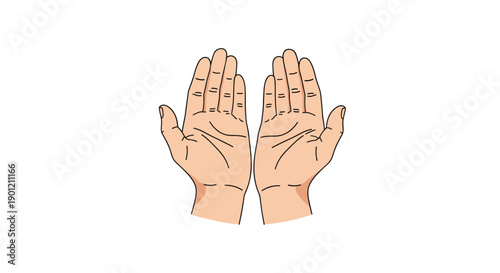 Two open human palms facing upwards, symbolizing giving, receiving, offering, or a gesture of openness and welcome.