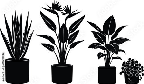 Indoor Houseplant Silhouette Collection Featuring Bird of Paradise Snake Plant and Potted Greenery Icons for Home Decor Interior Design and Urban Jungle Graphics