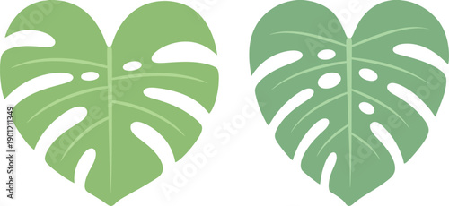 Flat Monstera Leaf Pair in Minimal Form. Contemporary Botanical Asset for Digital Design. Modern Nature Abstraction Concept