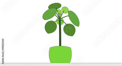 Minimalist Pilea Peperomioides Houseplant Illustration. Stylized Chinese Money Plant in a green pot, perfect for modern interior design graphics and decor.