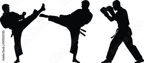 Martial arts silhouettes of fighters practicing high kick and boxing pose, karate taekwondo training vector illustration set for combat sport self defense design