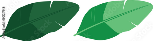 Minimal Leaf Pair Representing Natural Elements. Eco Illustration for Wellness and Lifestyle Media. Growth and Renewal Concept