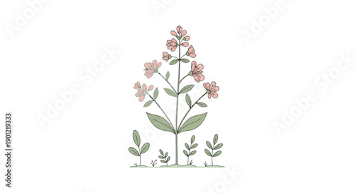 Minimalist plant illustration featuring pink flower and green leaf, centered viewpoint