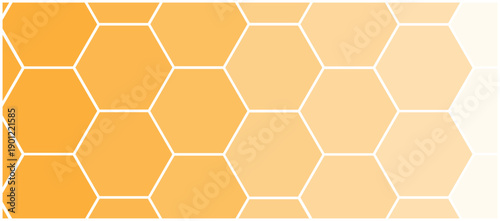Abstract Honeycomb Photo Collage Polygon Frames Vector