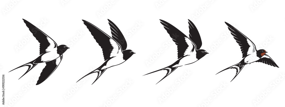 Fototapeta premium Flying Swallow Bird Silhouette Set