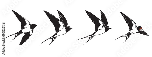 Flying Swallow Bird Silhouette Set