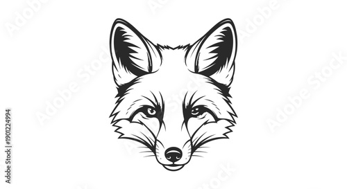 vector illustration of a fox