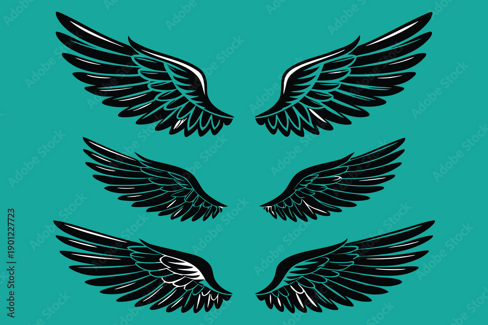 Fototapeta premium Six Stylized Black and White Wings on Teal Background, Symmetry