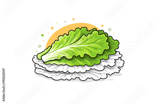 Fresh vibrant green and white lettuce illustration with sparkling sunburst