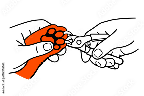 Person trimming dog's paw nails with claw clippers - grooming steps illustrated