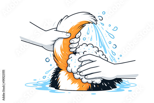 Cartoon hands bathing tricolor cat with suds and splashes