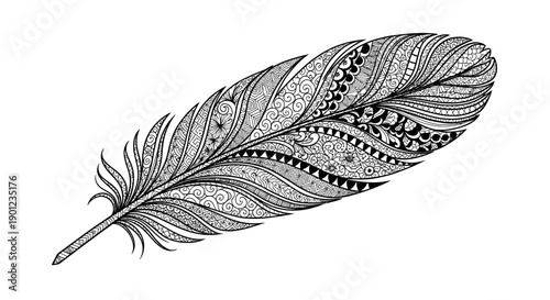 feather isolated on white