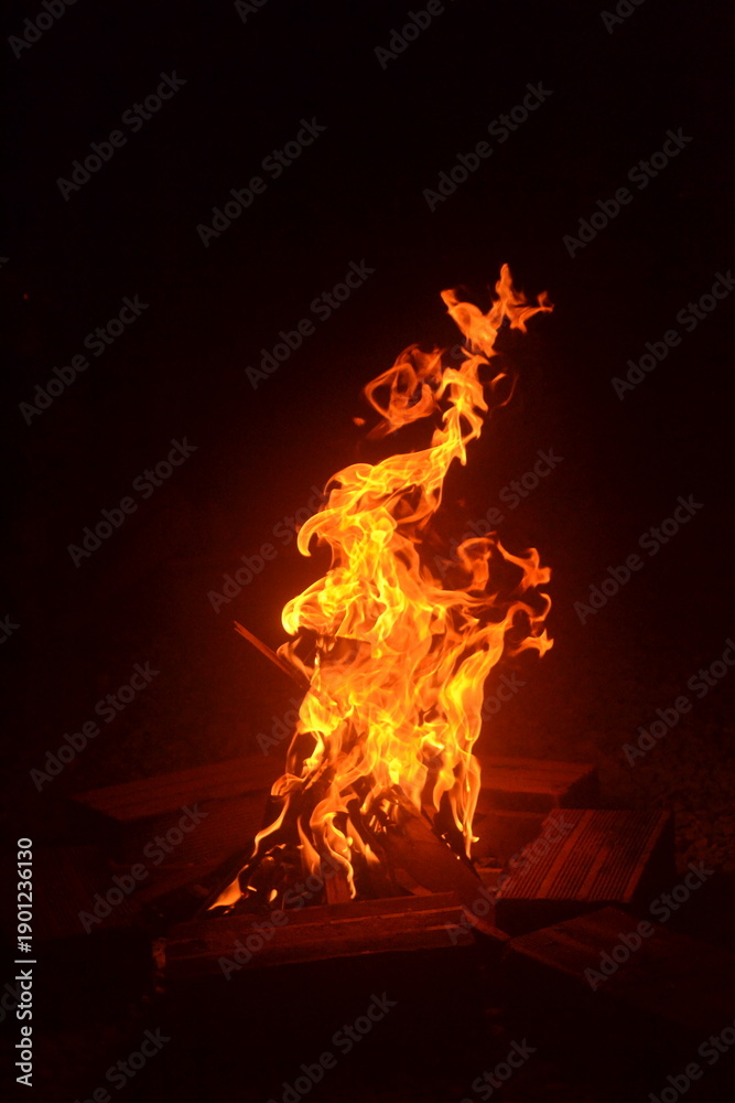Fototapeta premium fire in the fireplace